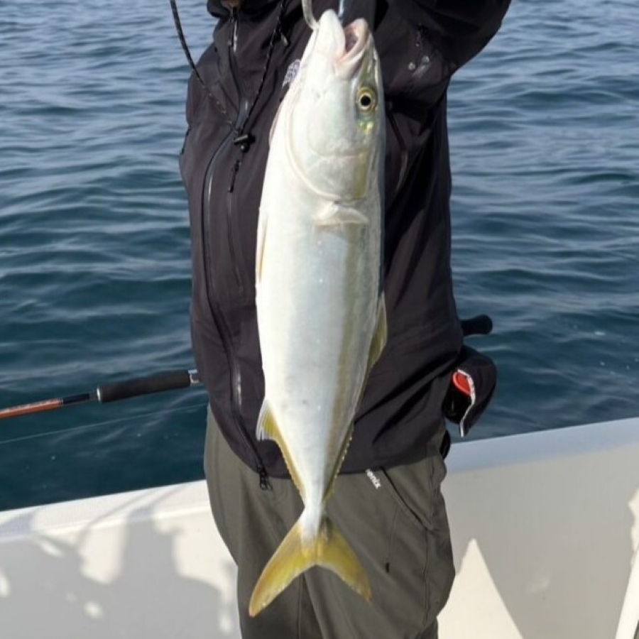 実際の釣りの流れ