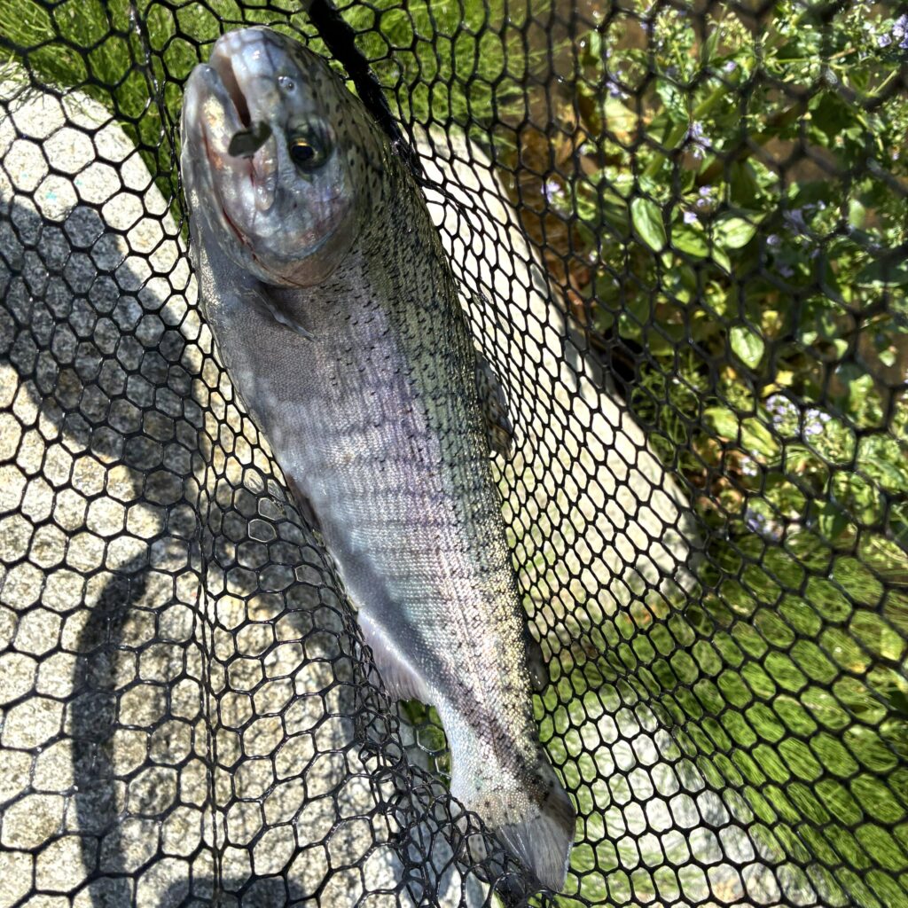実際の釣りの流れ