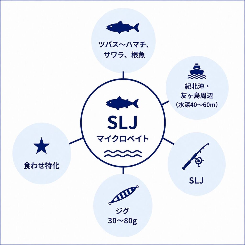 SLJマイクロベイトにおけるタックル構成の概念図